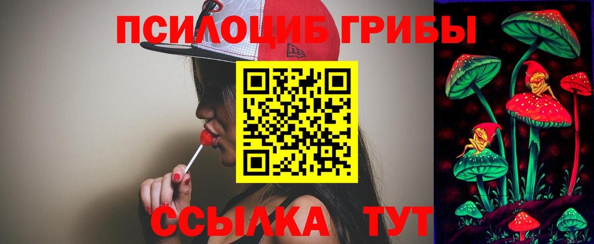 Псилоцибиновые грибы GOLDEN TEACHER Уссурийск